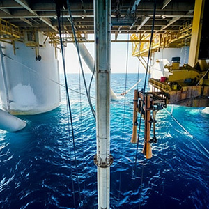 biodiversity and ecosystem protection